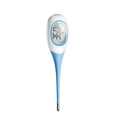 Electronic Thermometer
